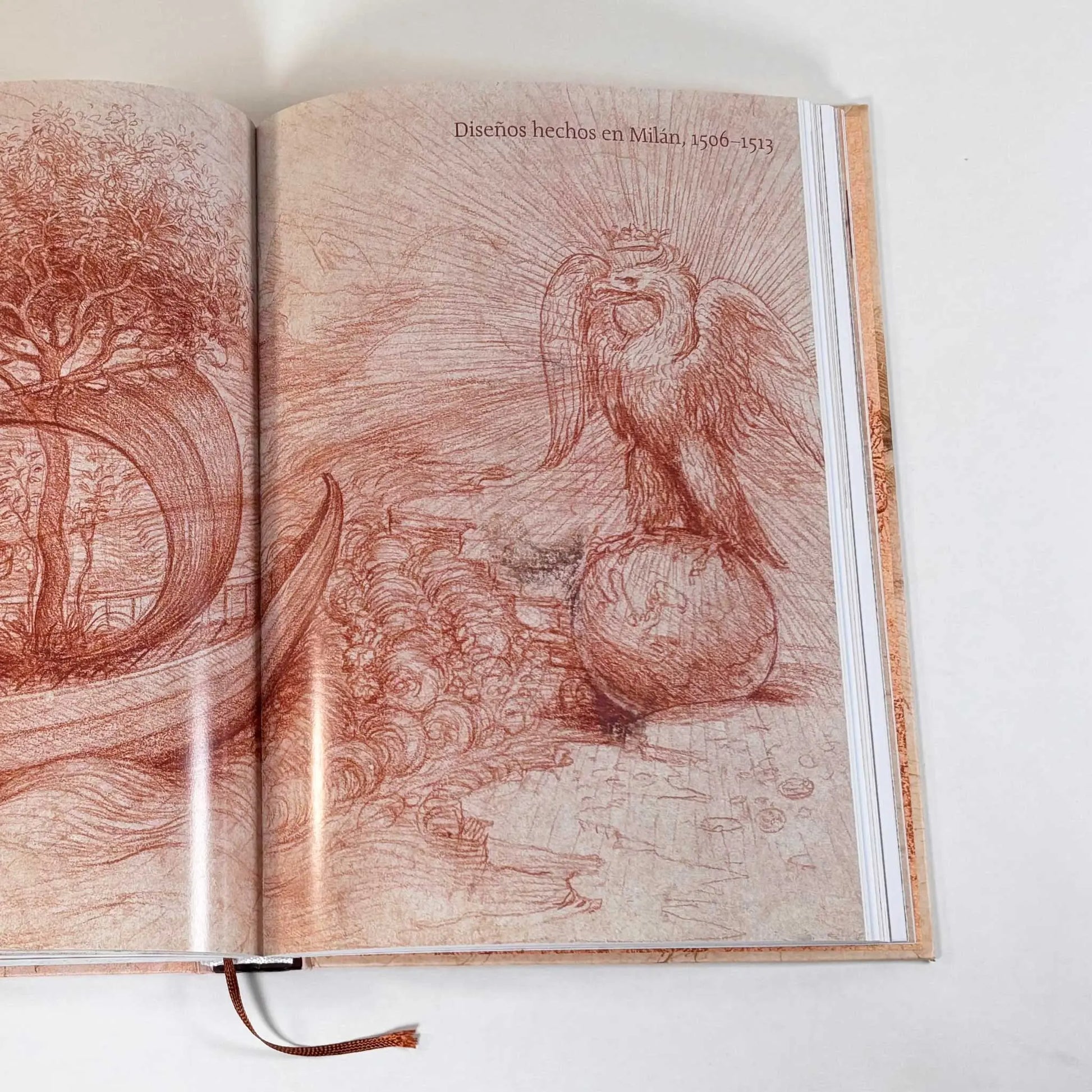 Imagen 2 · Leonardo da Vinci. Una Vida en Dibujos