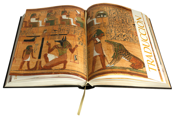 art-book-papiro-ani-libro abierto cARTEm BOOKS